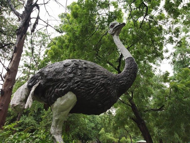 Parc zoologique Nehru